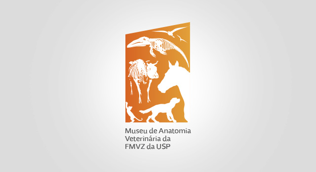 MAV &#8211; Museu de Anatomia Veterinária da FMVZ USP