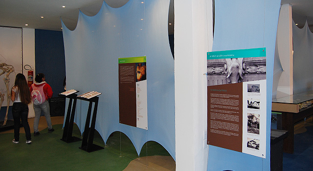 MAV &#8211; Museu de Anatomia Veterinária da FMVZ USP